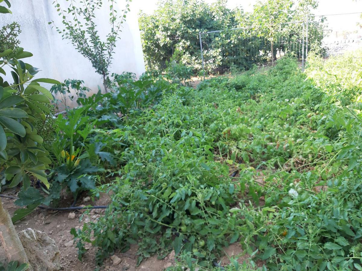 Da Nonna Cosimina Βίλα Casamassella Εξωτερικό φωτογραφία